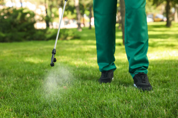 Best Residential Pest Control  in Walker Valley, NY